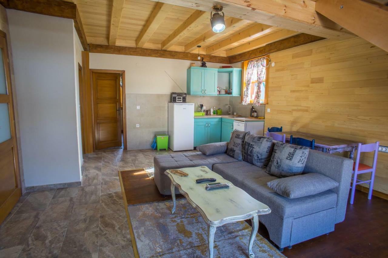 Chalet F&V Radosavovic Žabljak Kültér fotó