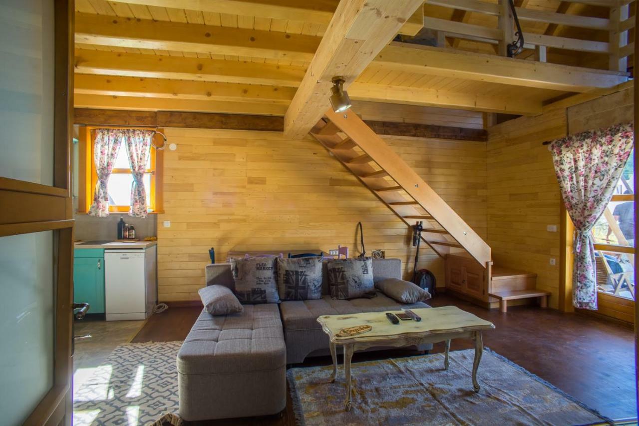 Chalet F&V Radosavovic Žabljak Kültér fotó